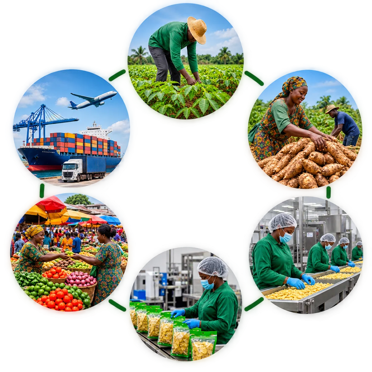 Agriculture at its best - Happyfeet International Farm